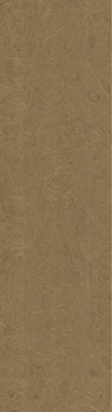 Chapa precompuesta de RAIZ DE NOGAL (10.07) Largo 2.50 m