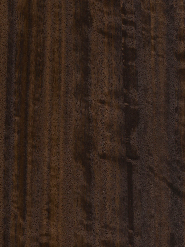 Chapa natural de EUCALIPTO AHUMADO FIGURED FRISSE