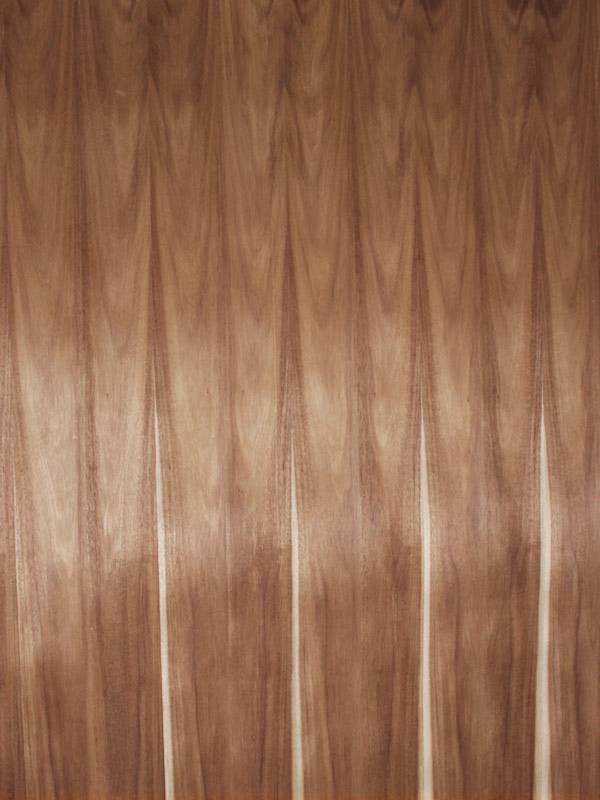 Sabana de Chapa Natural de Huanacaxtle/Parota media de 1.25 x 2.50 m. (clave 101.156) con albura.