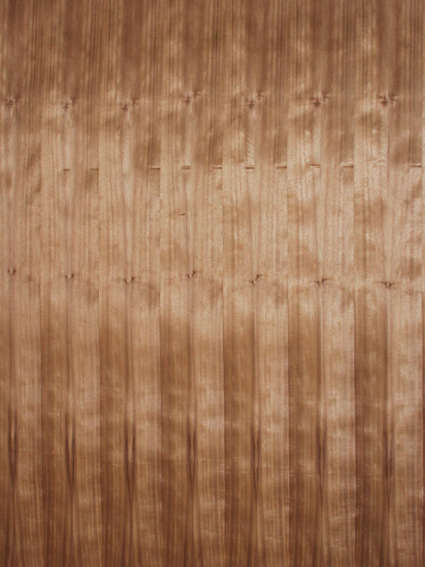 Sabana de Chapa Natural de Huanacaxtle/Parota media de 1.25 x 2.50 m. (clave 101.156) con albura.