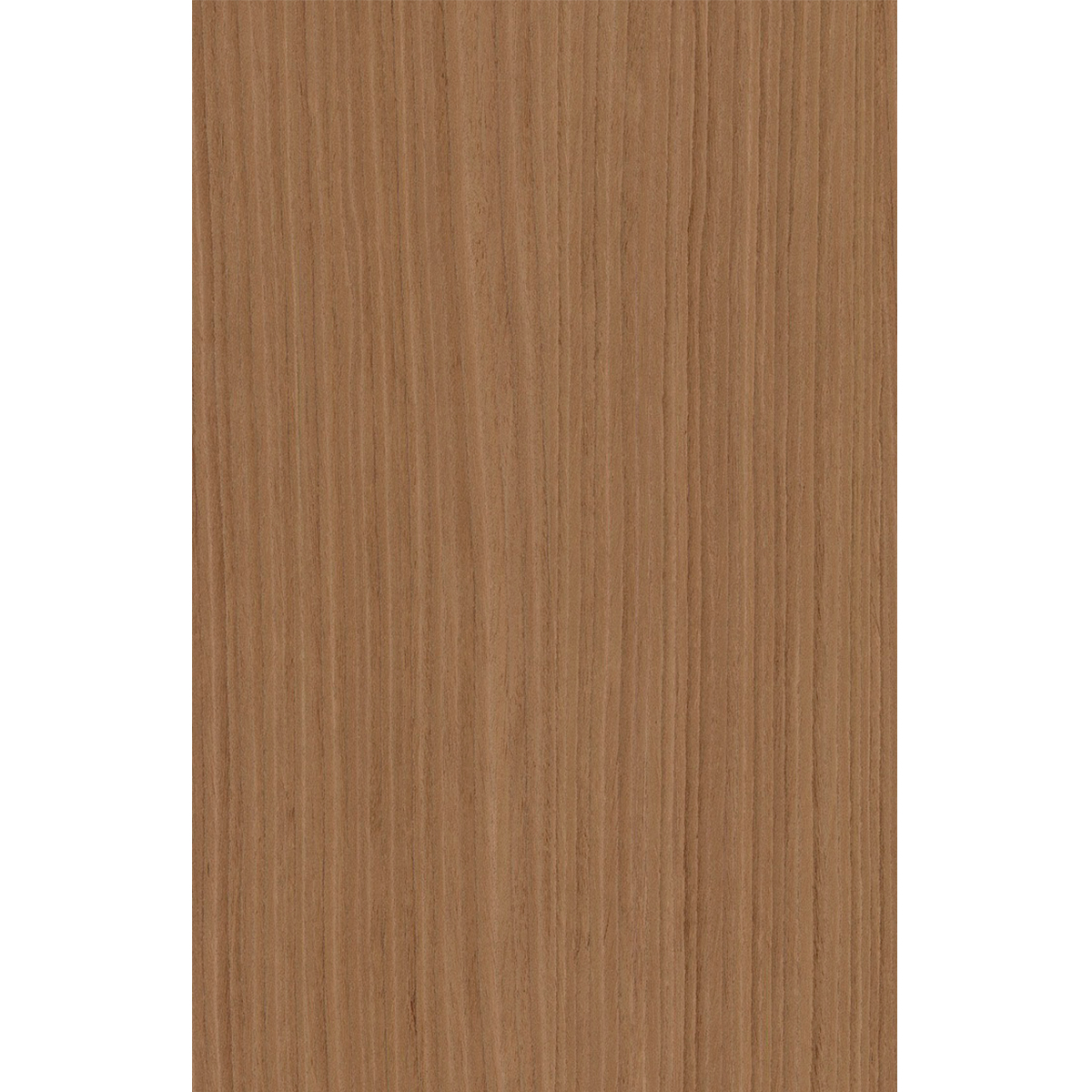 Chapa precompuesta  ALPI Xilo Noce Italiano Striped (12.12) Diseño de Piero Lissoni Largo  3.15 m