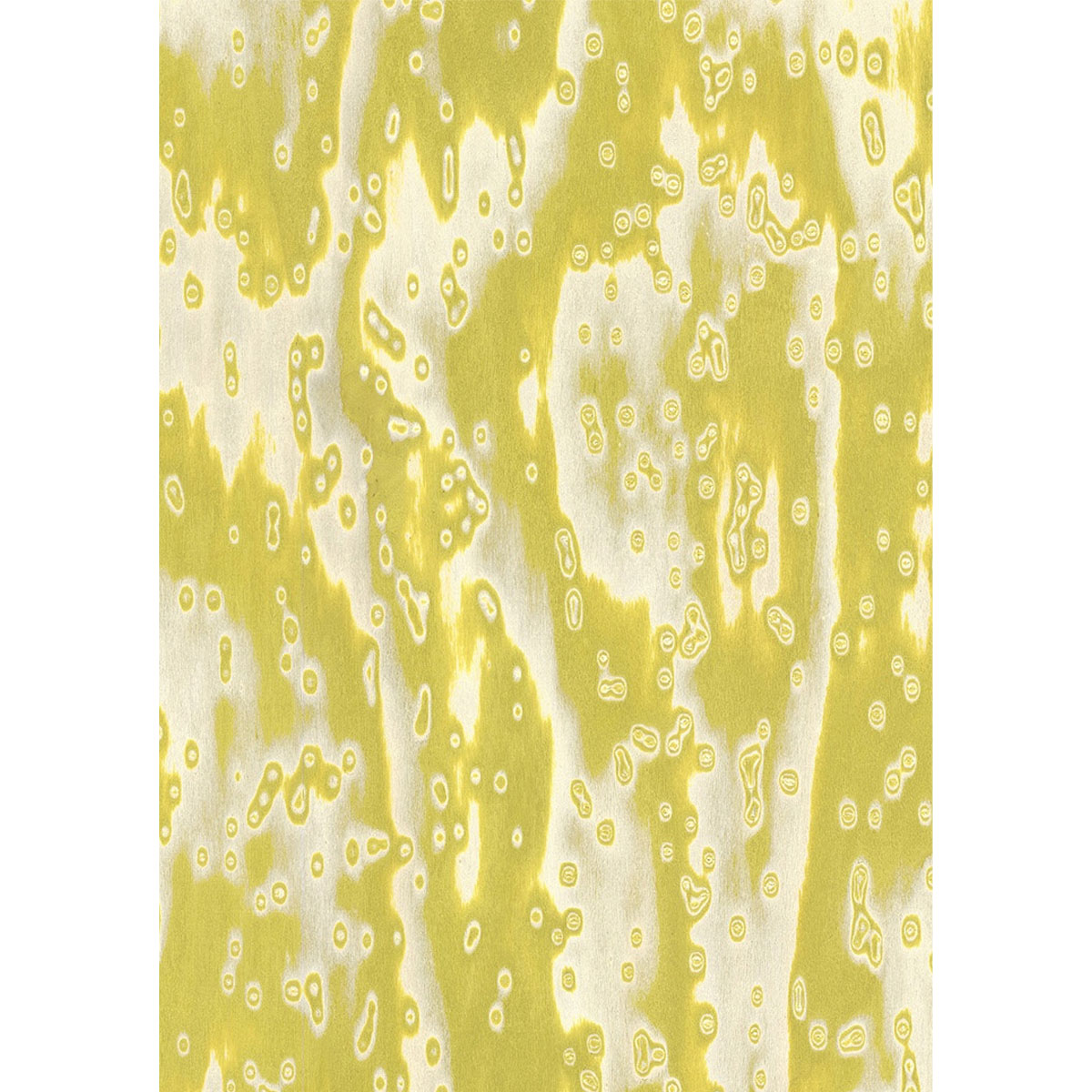 Chapa precompuesta ALPI Wooclé Yellow (18.35) Diseño de GamFrates, Largo 2.50 m