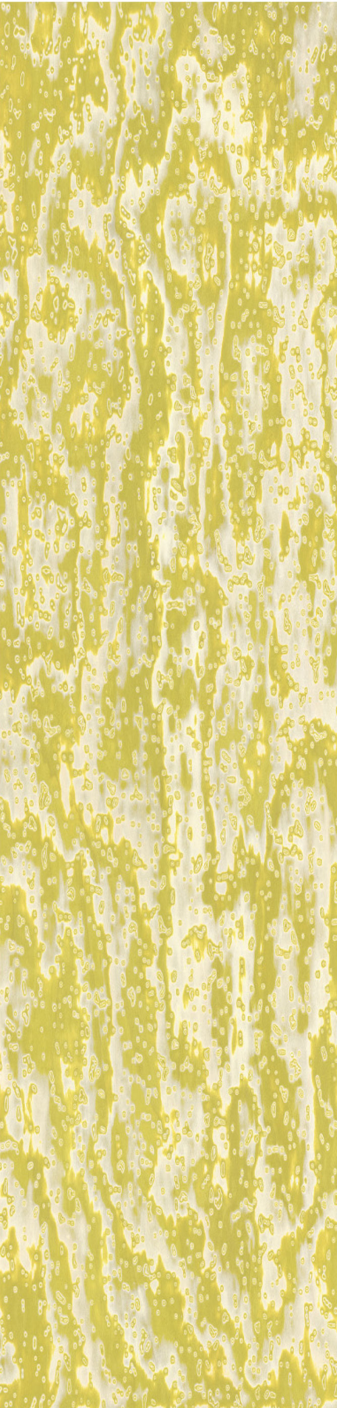 Chapa precompuesta ALPI Wooclé Yellow (18.35) Diseño de GamFrates, Largo 2.50 m