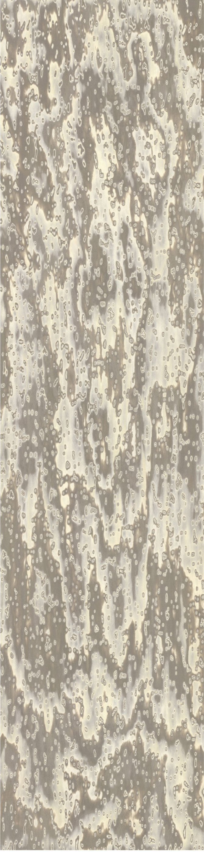 Chapa precompuesta ALPI Wooclé Grey (18.36) Diseño de GamFratesi, Largo 2.50 m.