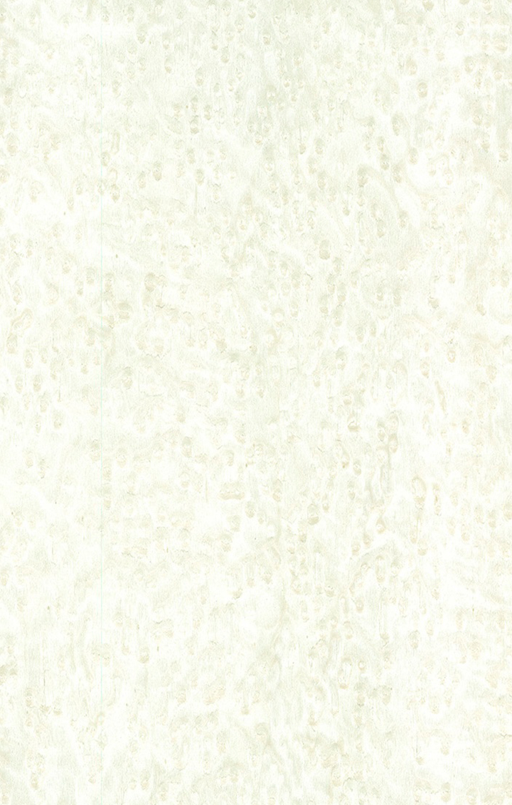 Pure White Erable - Chapa de madera precompuesta ALPI