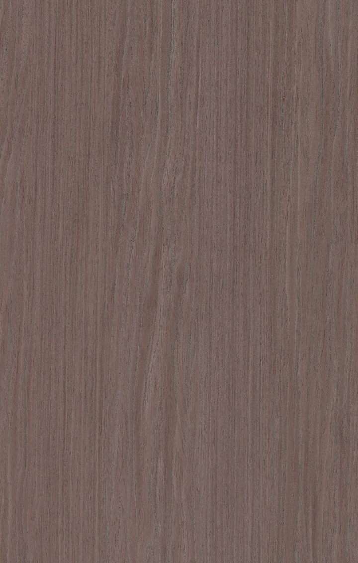 TITANIUM OAK - Cubrecanto ALPIkord