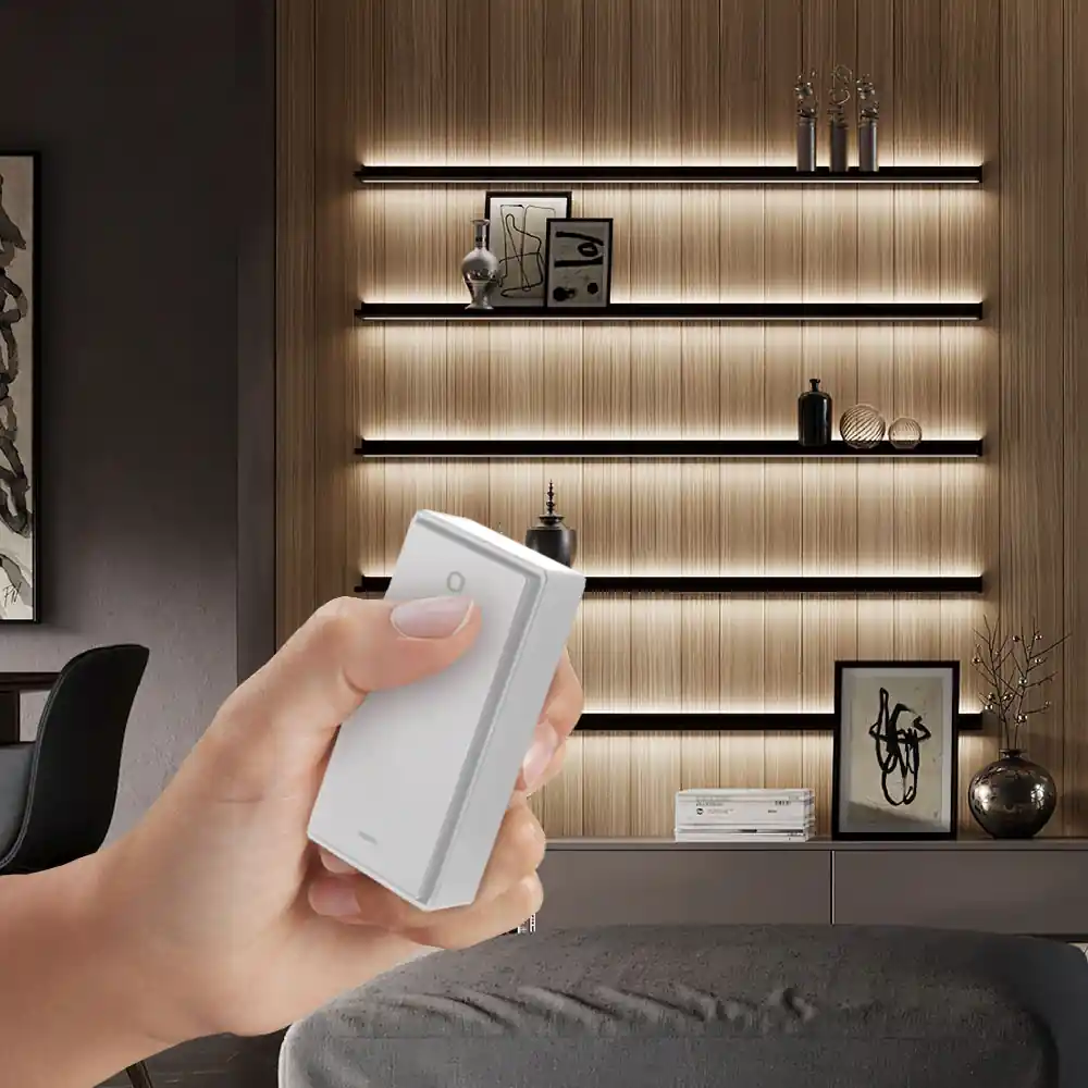 Switch KINY cinético D-Motion con imán y regulación de intensidad  M24, color blanco