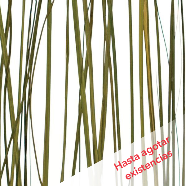 Panel Translúcido COASTAL acabado gloss/mate, medida 1220 x 2440 mm, espesor  4mm.