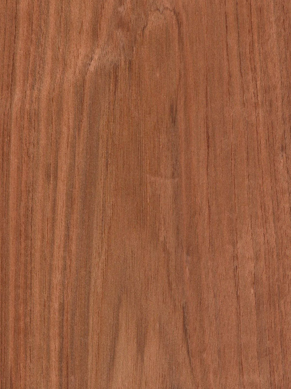 Chapa natural de ETIMOE