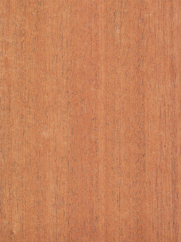 Chapa natural de KHAYA RAYADA