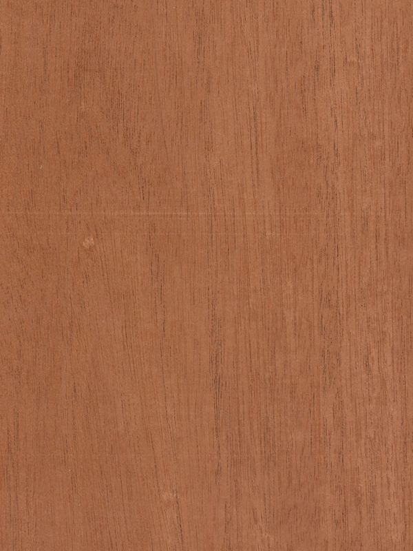 Chapa natural de MOGNO A.