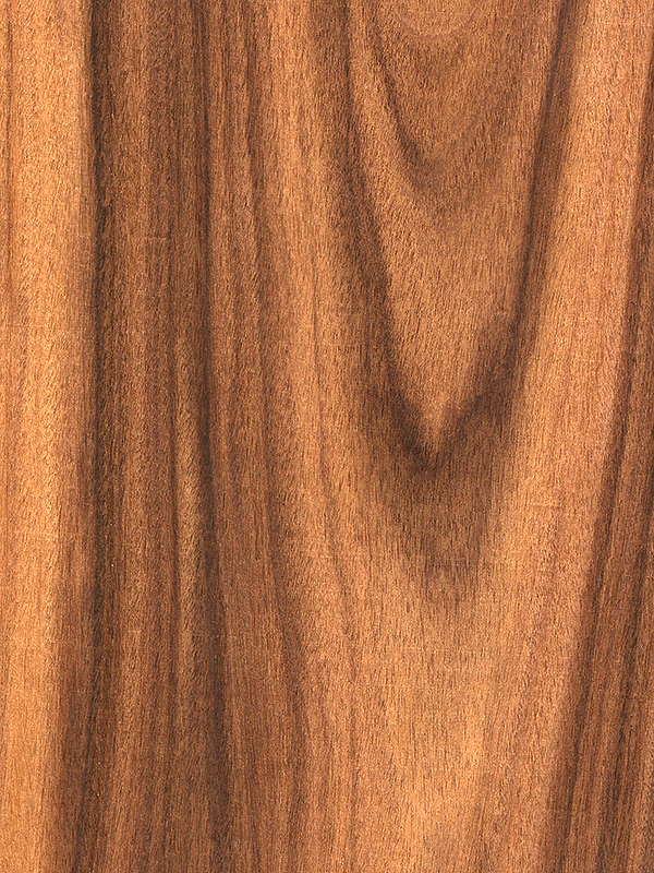 Chapa natural de PALISSANDRO