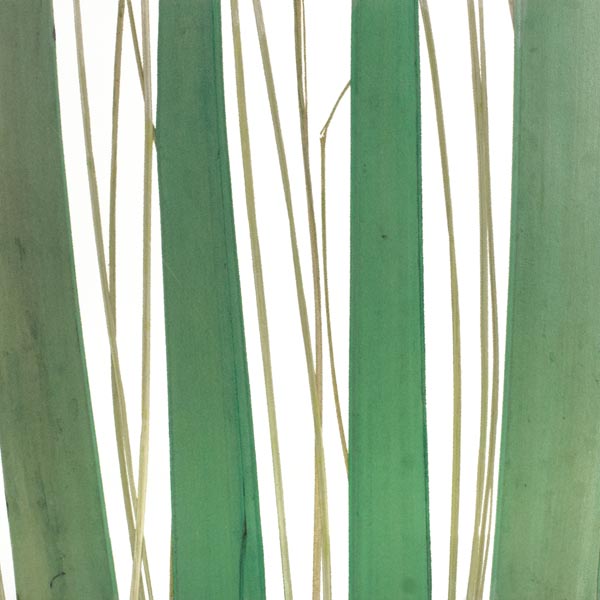 Panel Translúcido lumiform EVERGLADE Vertical, medida 1219 x 2438mm, espesor 6mm, Gloss/Matte