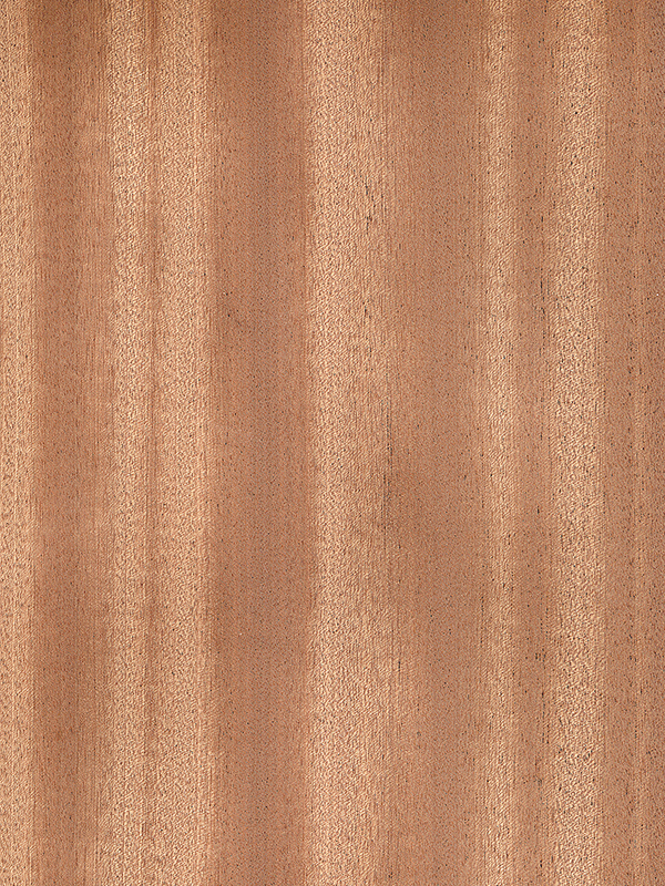 Chapa natural de SAPELI RAYADO