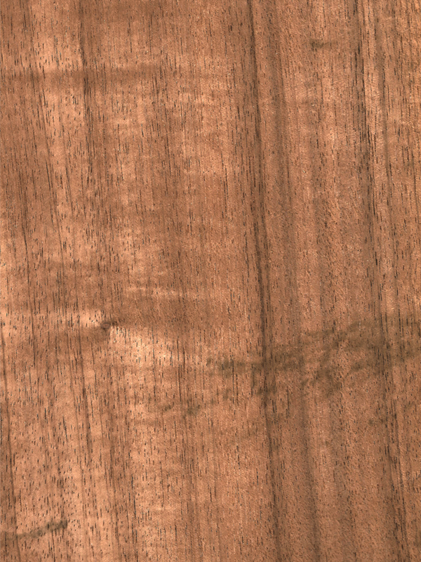 CHAPA NATURAL DE TZALAM