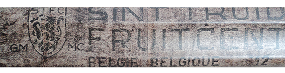 Zoclo para piso laminado WINE AND FRUITS, medida 2570 mm