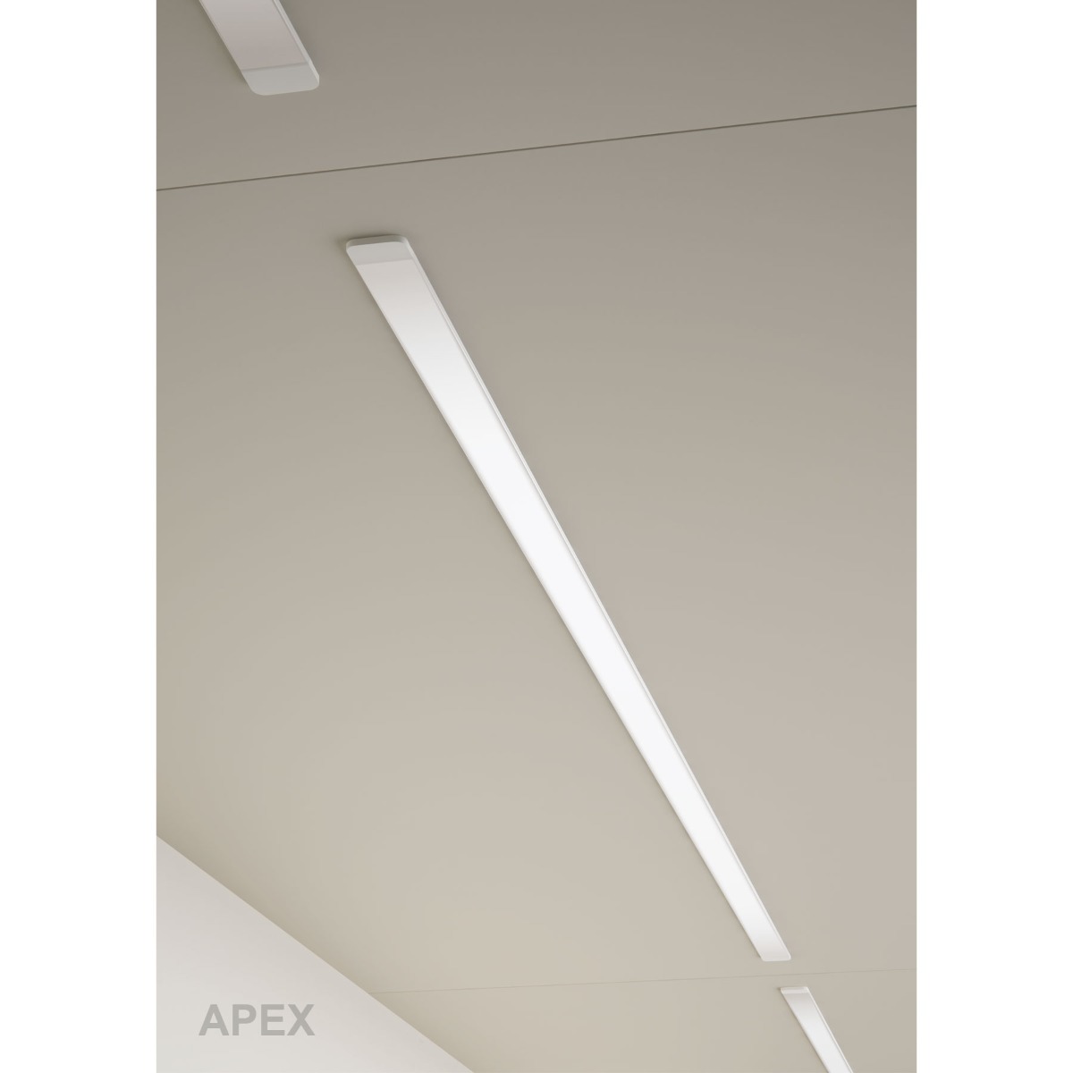 Muestrario de iluminación DOMUS LINE