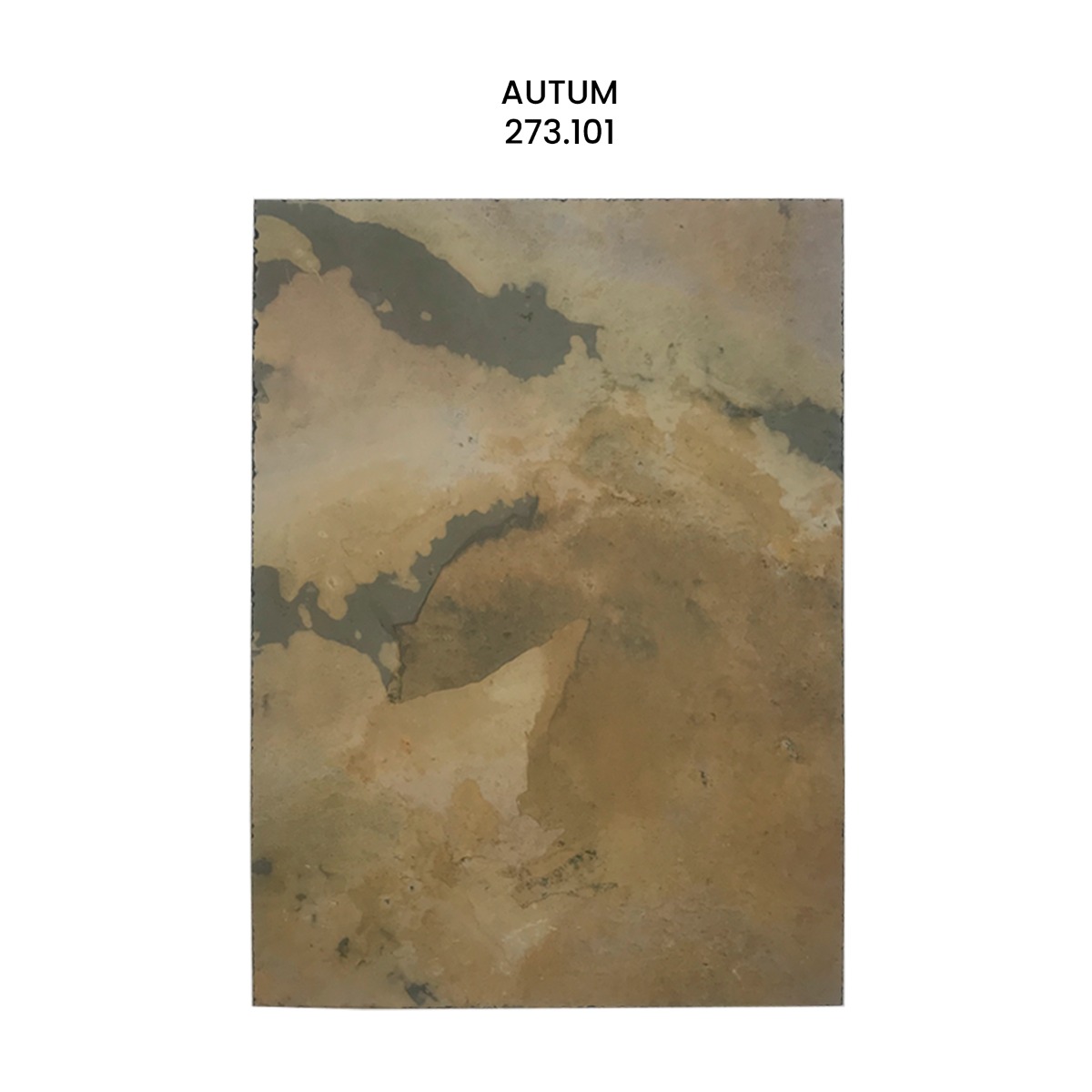 Carpeta con muestras de laja de piedra STONE VENEER