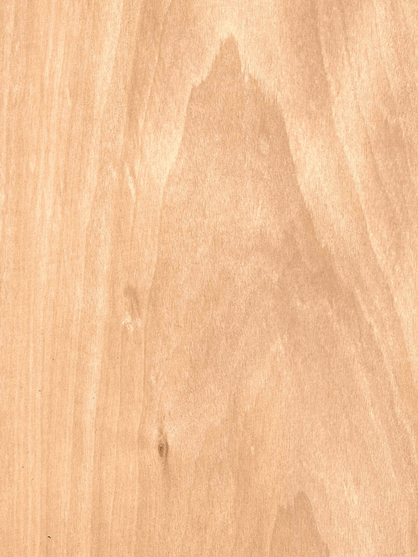 Chapa natural de ANIGRE CATEDRAL