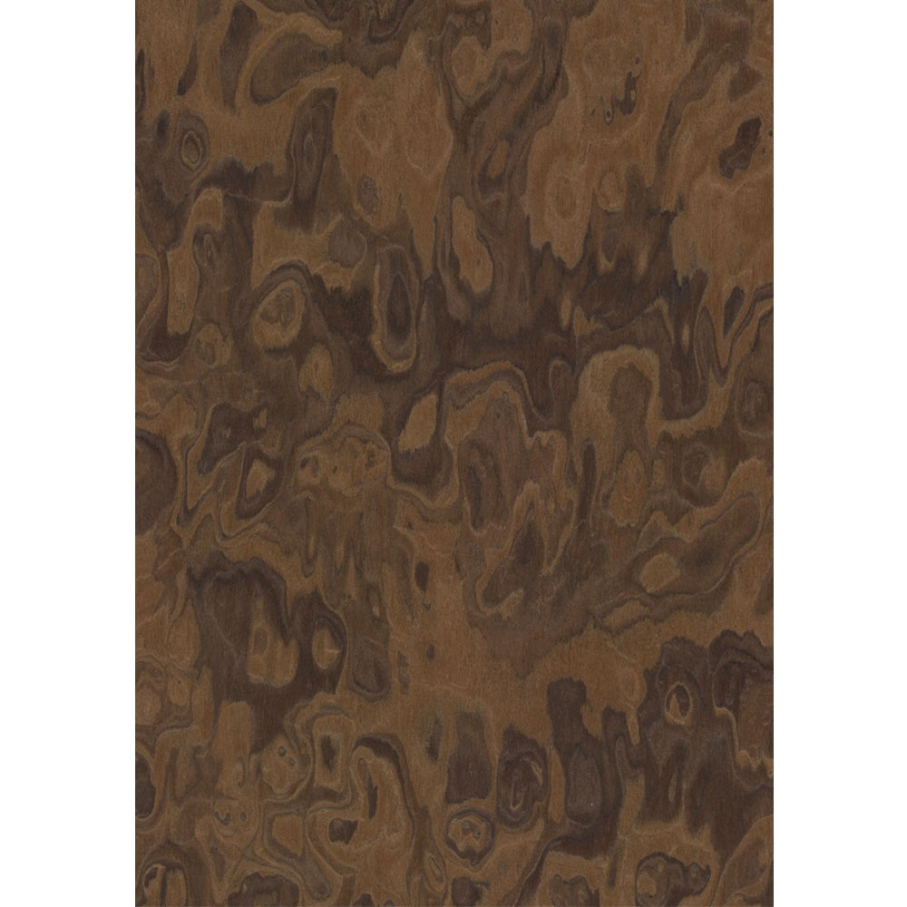 Chapa precompuesta Raíz California Burl (10.06) Largo 2.50 m