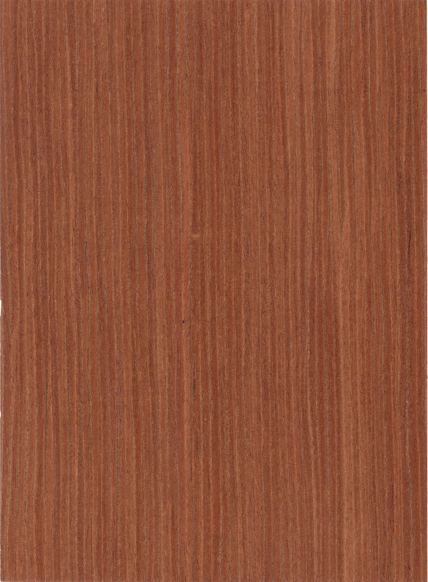 Chapa de madera natural de Caoba con respaldo de papel | Hoja