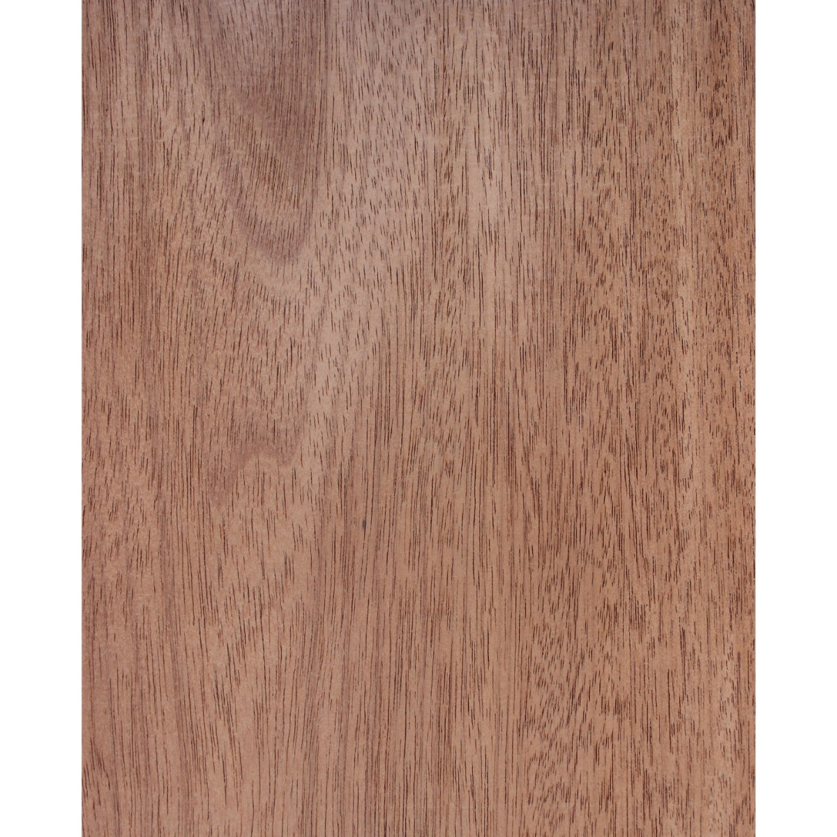 Chapa natural de JEQUITIBA AB.