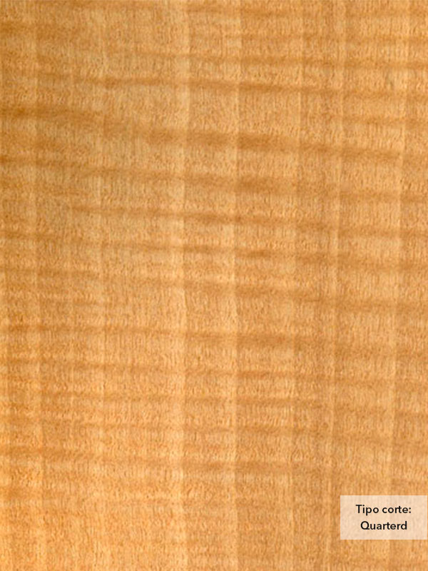 Chapa de madera natural de Anegre con respaldo de papel