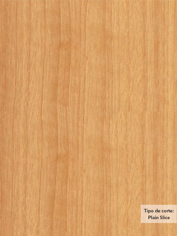 Chapa de madera natural de Anegre con respaldo de papel