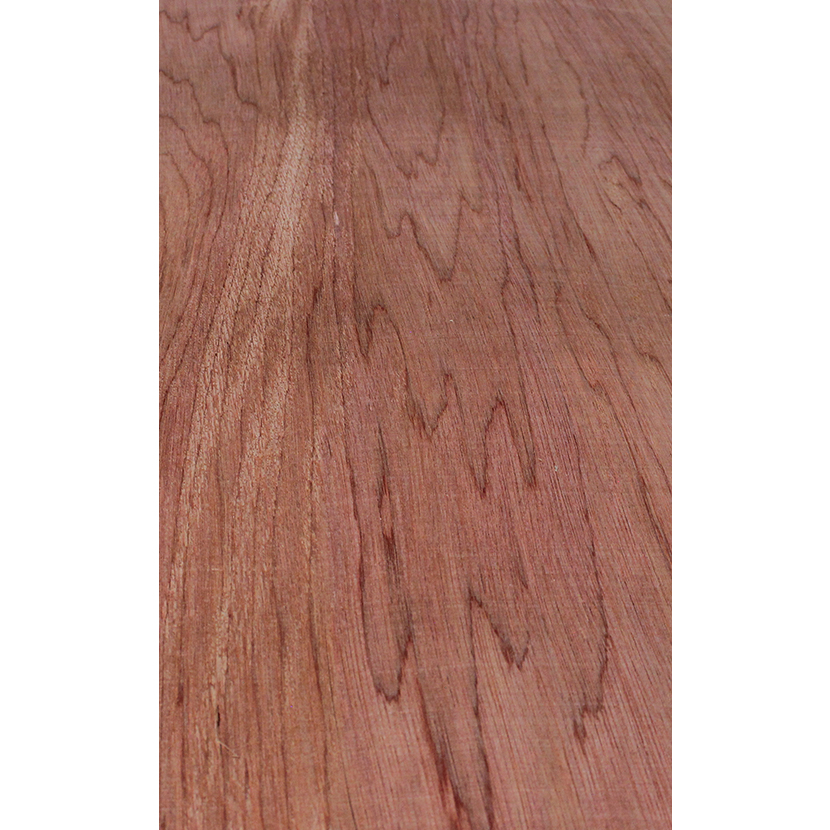 Chapa tropical para trascara en sábana | Hoja