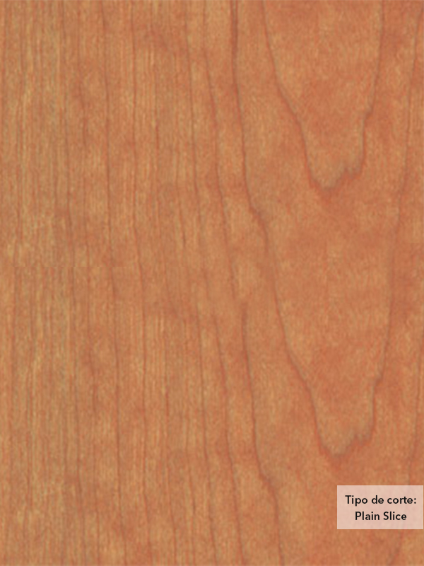 Chapa de madera natural de Cerezo con respaldo de papel