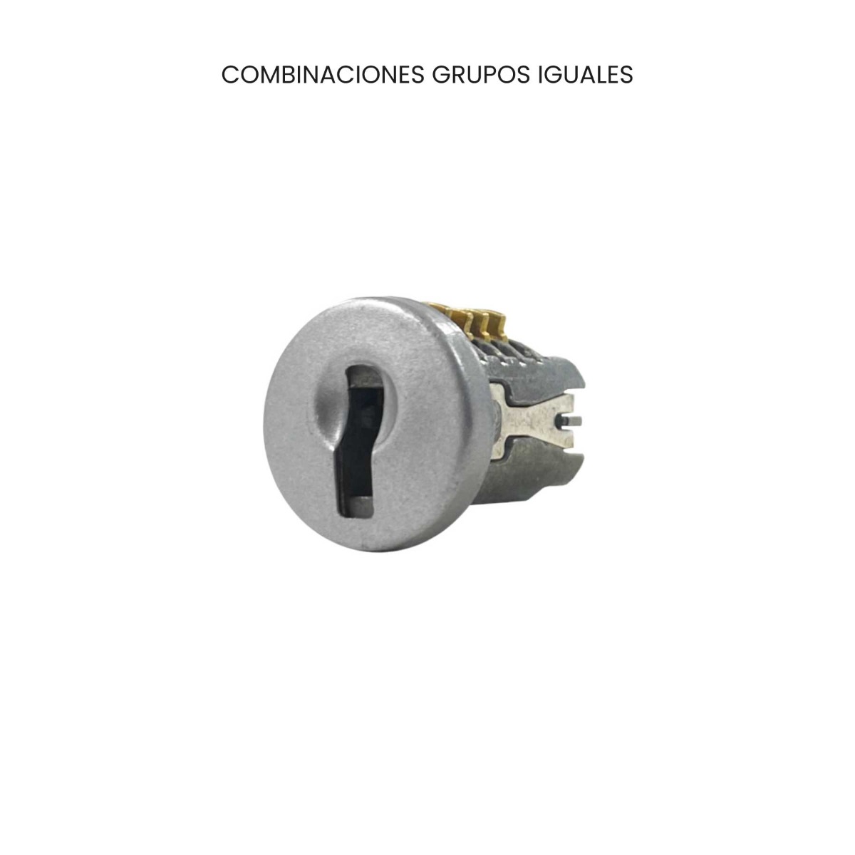Cerradura LP-725, combinaciones grupos iguales, acabado gris aluminio