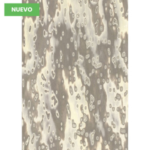 Chapa precompuesta ALPI Wooclé Grey (18.36) Diseño de GamFratesi, Largo 2.50 m.