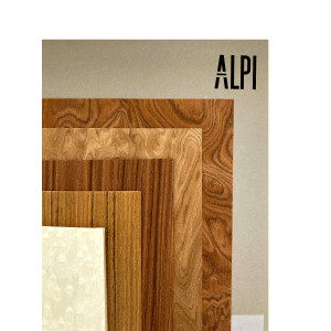 Carpeta ALPI 