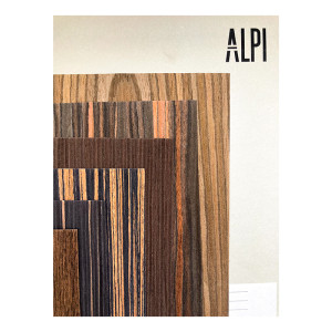 Carpeta ALPI 