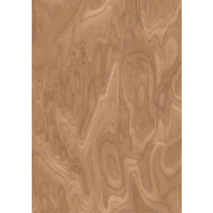 Ra&iacute;z de Nogal - Chapa de madera precompuesta ALPI | m