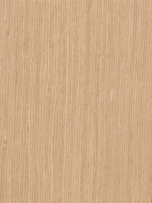 Chapa precompuesta ENCINO BLANCO HUDSON (L29.026E) Largo 2.50 m