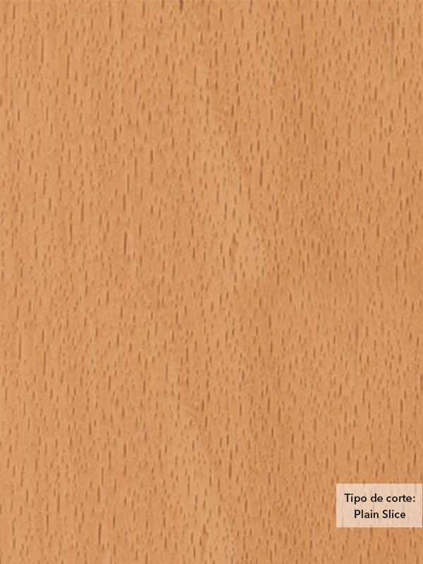 Chapa de madera natural de Haya con respaldo de papel