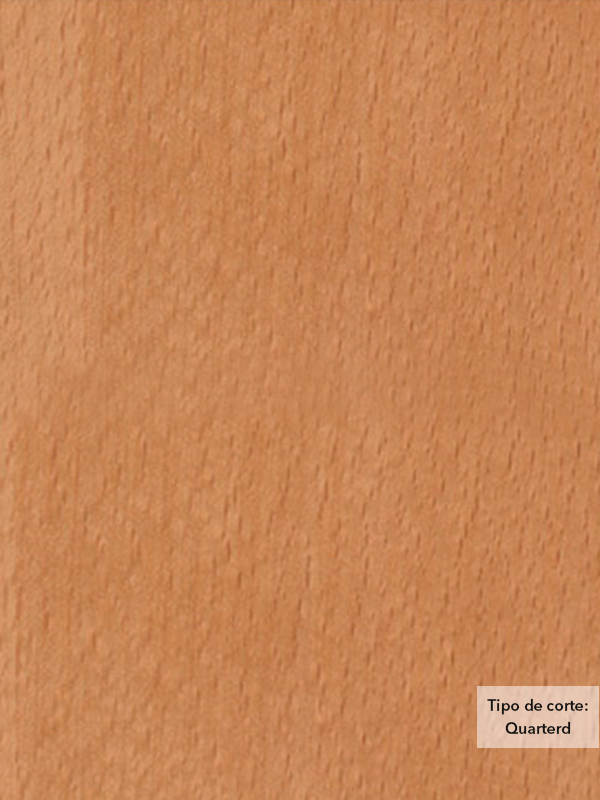 Chapa de madera natural de Haya con respaldo de papel