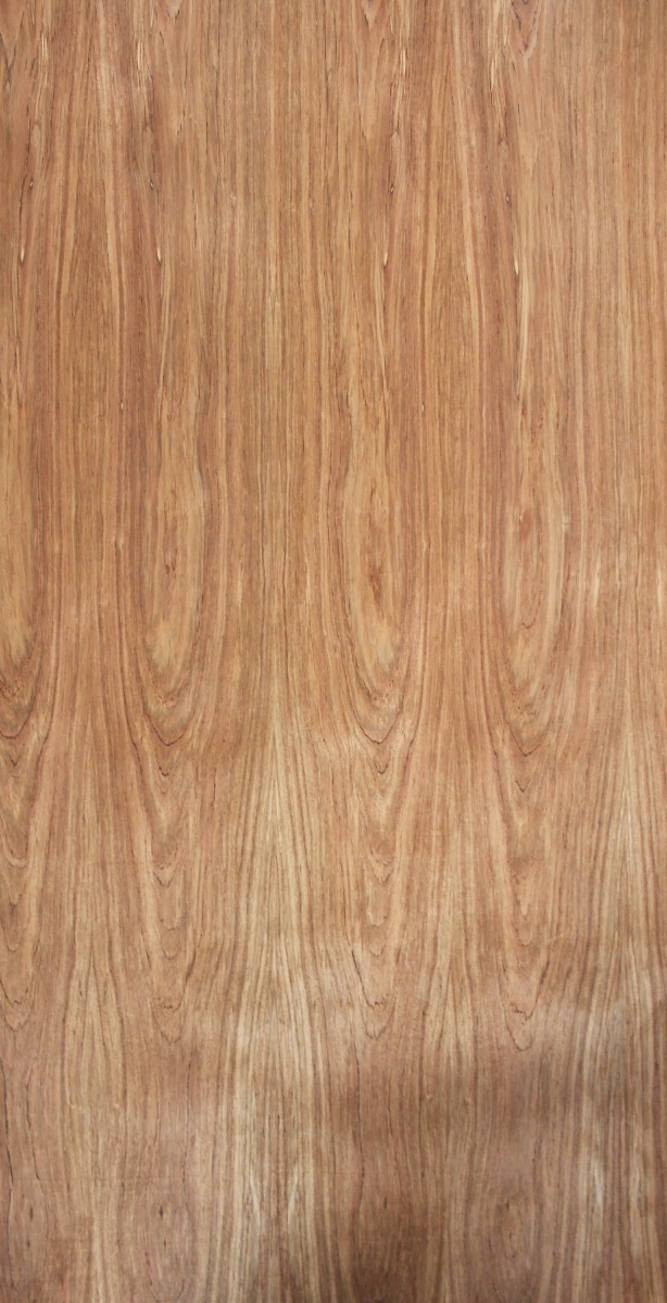 Sabana de chapa natural de ETIMOE, medida de 1.27 x 2.50 m