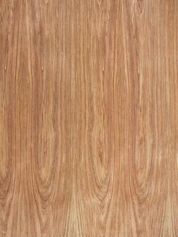 Detalle Sábana de chapa natural de Etimoe