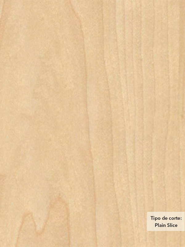 Chapa de madera natural de Maple Blanco con respaldo de papel
