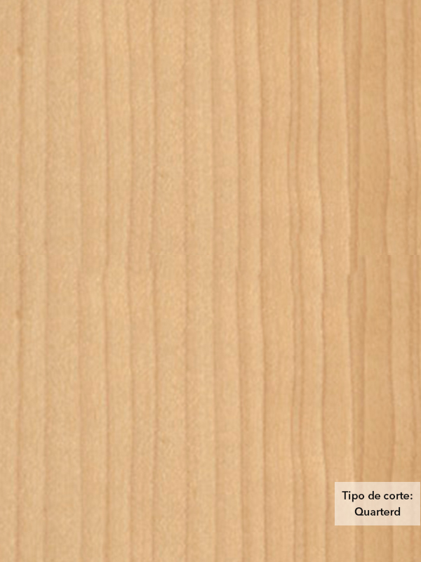 Chapa de madera natural de Maple Blanco con respaldo de papel