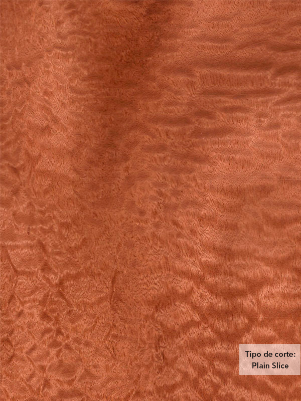 Chapa de madera natural de Sapeli con respaldo de papel