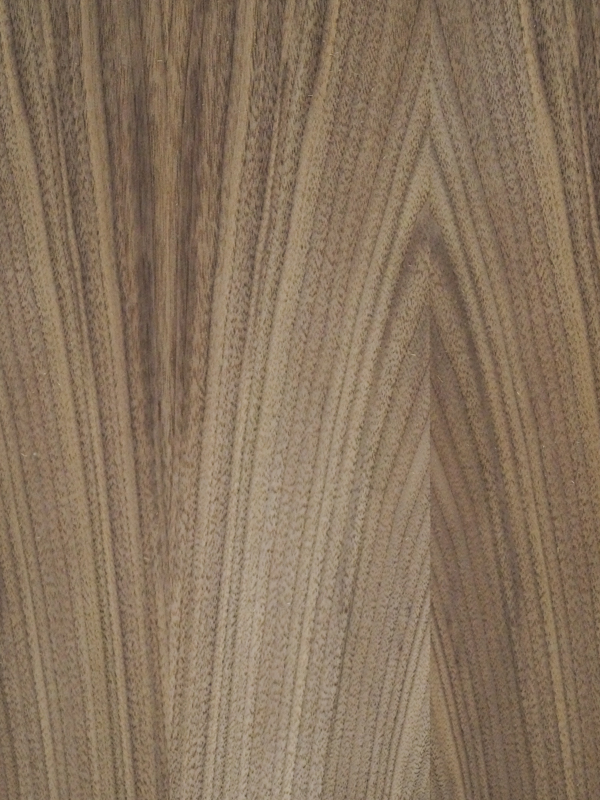 Detalle de Sábana de chapa natural de Nogal Rayado