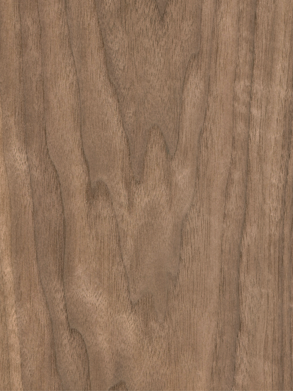 Chapa de madera natural de Nogal con respaldo de papel | Hoja