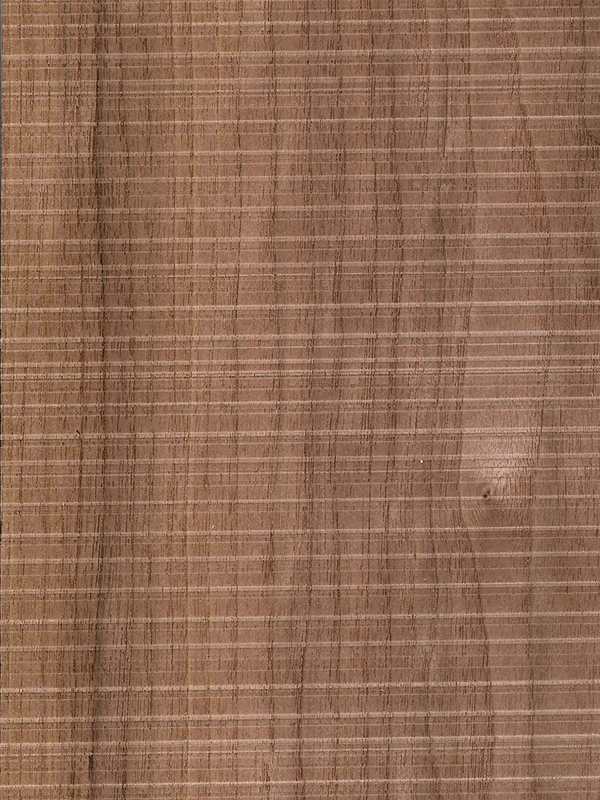 Chapa natural aserrada de NOGAL AMERICANO