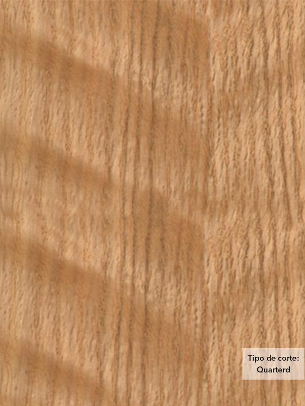 Chapa de madera natural de Encino Rojo con respaldo de papel