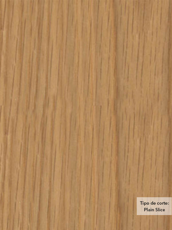 Chapa de madera natural de Encino Blanco con respaldo de papel