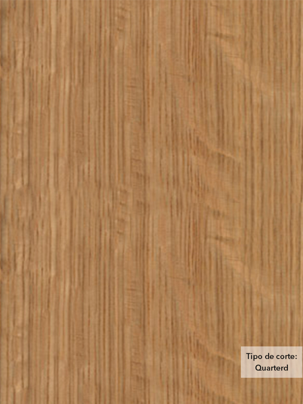 Chapa de madera natural de Encino Blanco con respaldo de papel