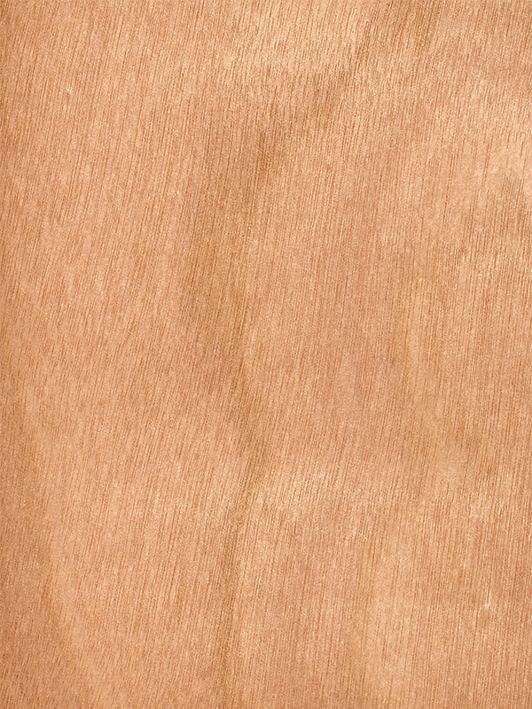 Chapa natural de OKUME (SABANA) 0.6 mm tickness